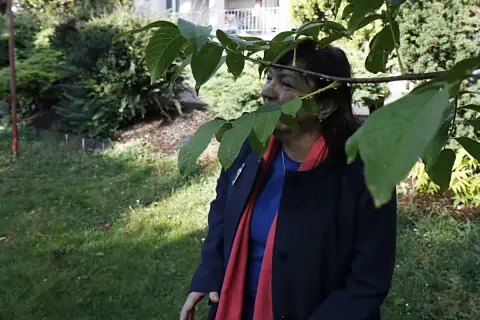 Schovala jsem se za list (11)