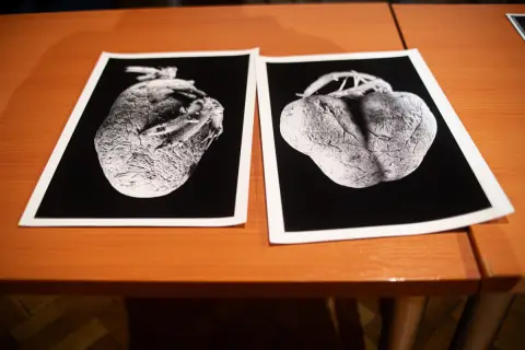 Vlastivědné muzeum vystavuje nejlepší amatérské fotografie (14) Vlastivědné muzeum vystavuje nejlepší amatérské fotografie (14)