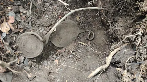 Šperk starý tři tisíce let obohatí muzejní sbírky (2) Šperk starý tři tisíce let obohatí muzejní sbírky (2)