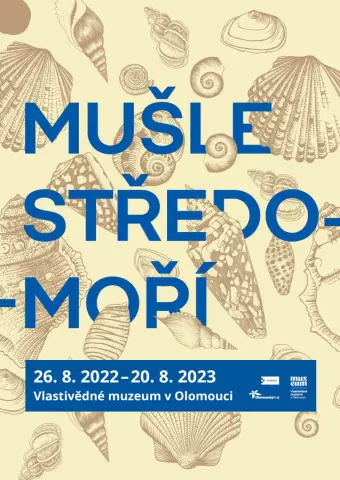 Mušle Středomoří (15)