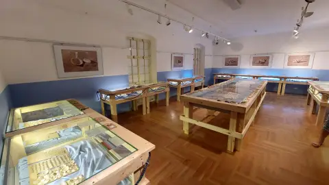 Mušle Středomoří (2)