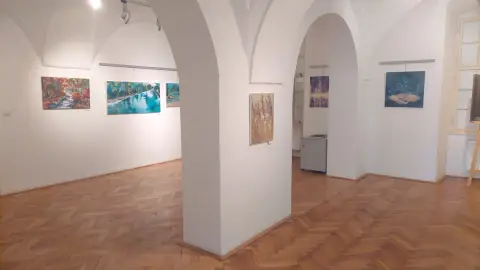 Výstava autorských obrazů Pavla Šubčíka (2)