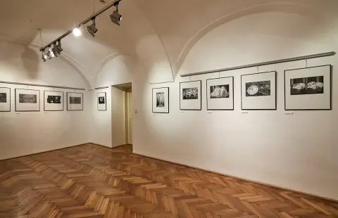 Otisky a (ne)znamení (5)
