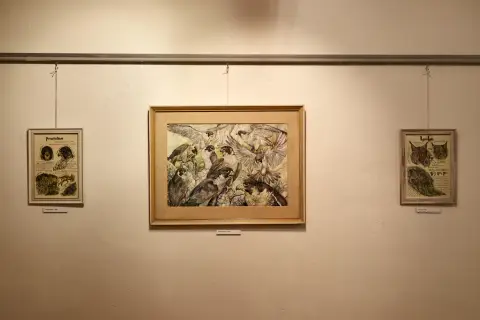 Still - Nepřetržitý vývoj (10)