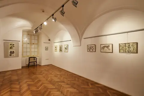 Still - Nepřetržitý vývoj (11)