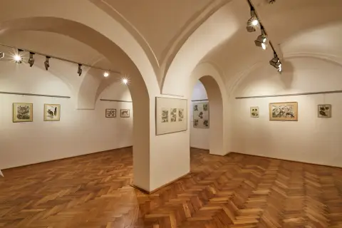 Still - Nepřetržitý vývoj (13)