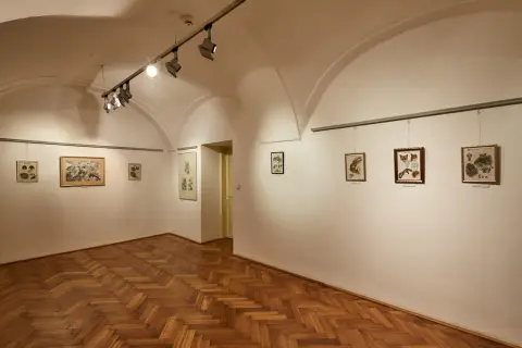 Still - Nepřetržitý vývoj (14)