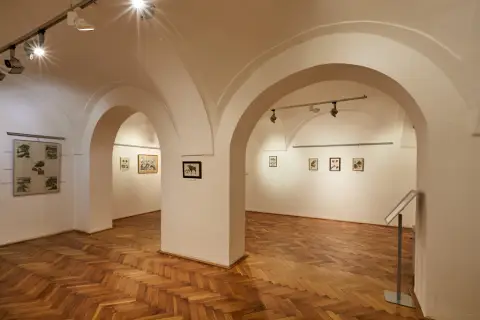 Still - Nepřetržitý vývoj (15)