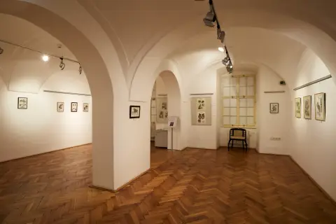 Still - Nepřetržitý vývoj (17)
