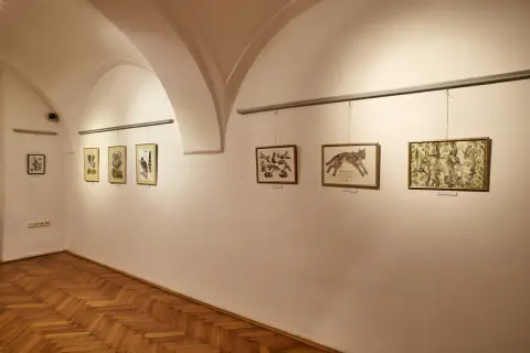 Still - Nepřetržitý vývoj (18)