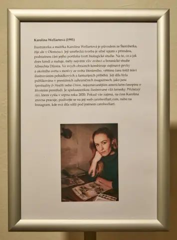 Still - Nepřetržitý vývoj (19)