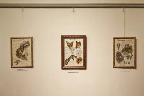 Still - Nepřetržitý vývoj (6)
