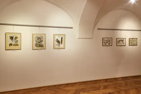 Still - Nepřetržitý vývoj (8)
