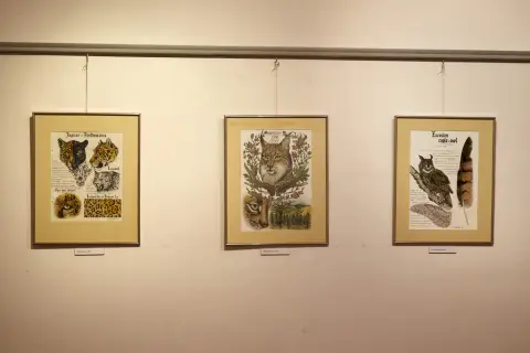 Still - Nepřetržitý vývoj (9)