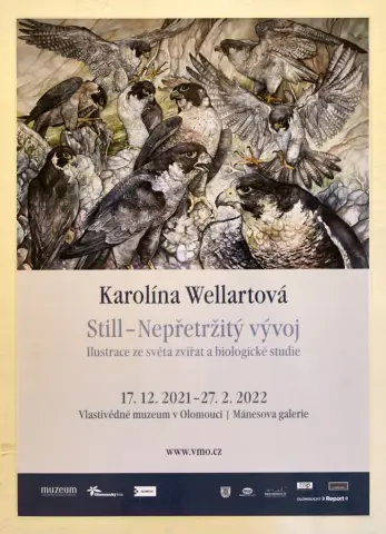 Still - Nepřetržitý vývoj (1)