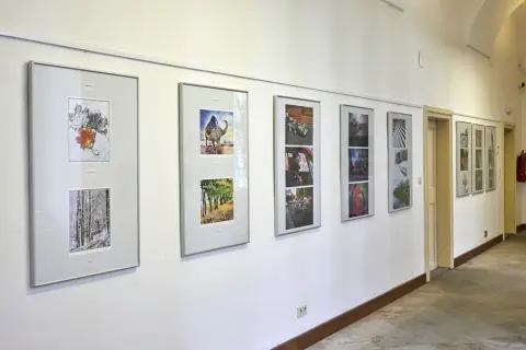 Výstava fotografií členů fotografické sekce VSMO (10)