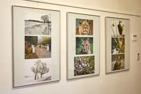 Výstava fotografií členů fotografické sekce VSMO (12)