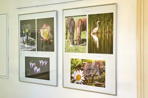 Výstava fotografií členů fotografické sekce VSMO (16)