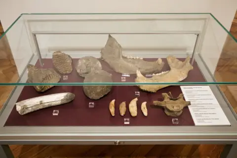 Jindřich Wankel – 200 let od narození otce moravské archeologie (9) Jindřich Wankel – 200 let od narození otce moravské archeologie (9)
