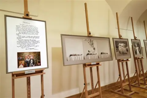 Stud i um Pavla Rozsívala (8)