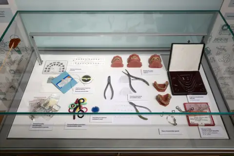 Historie a současnost zubního lékařství (16)