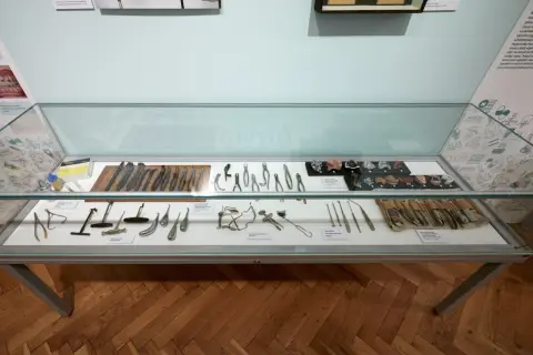 Historie a současnost zubního lékařství (17)
