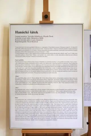 Hanácké šátek (7)