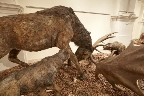 Giganti doby ledové 2 (10)