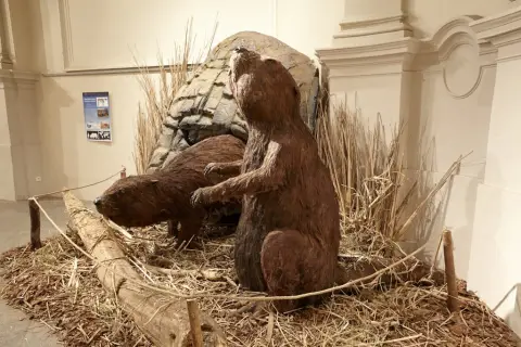 Giganti doby ledové 2 (11)