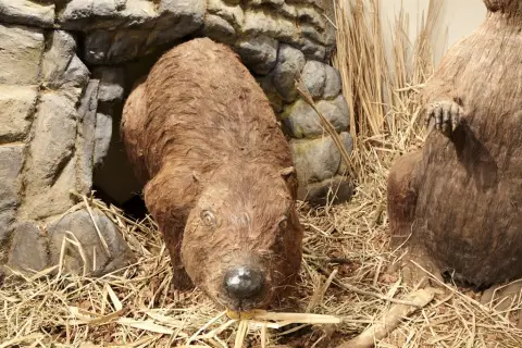 Giganti doby ledové 2 (13)
