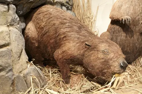 Giganti doby ledové 2 (14)