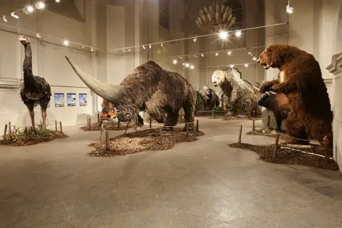 Giganti doby ledové 2 (2)