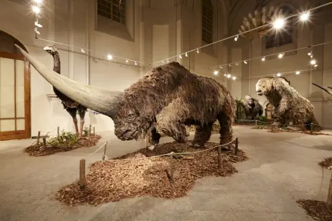 Giganti doby ledové 2 (3)