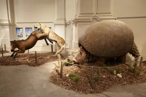 Giganti doby ledové 2 (5)