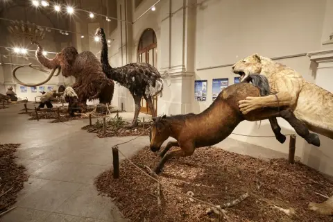 Giganti doby ledové 2 (6)