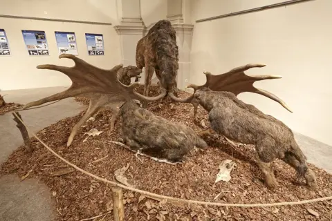 Giganti doby ledové 2 (9)