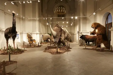 Giganti doby ledové 2 (1)