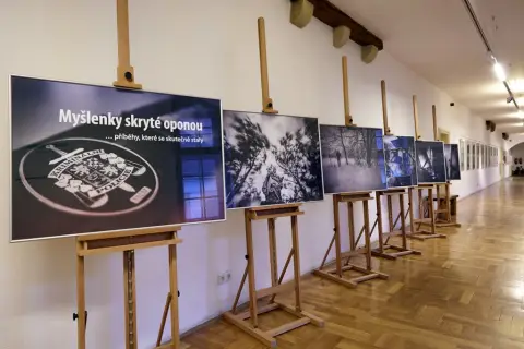 Myšlenky skryté oponou (2)