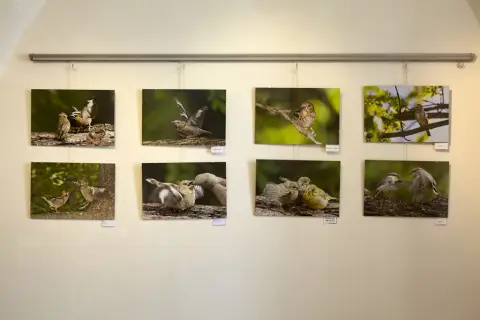 Příroda za humny (10)