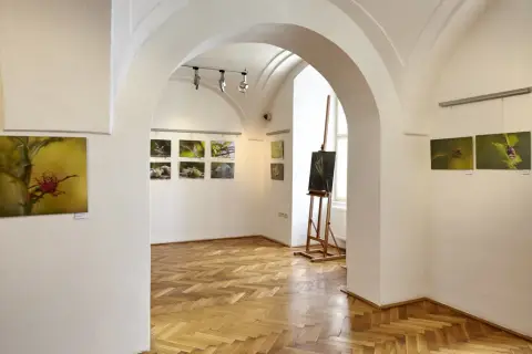 Příroda za humny (11)