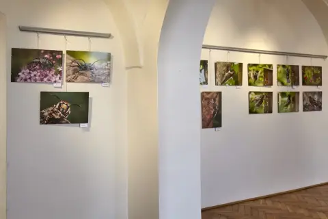 Příroda za humny (2)