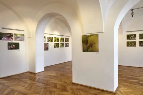 Příroda za humny (3)