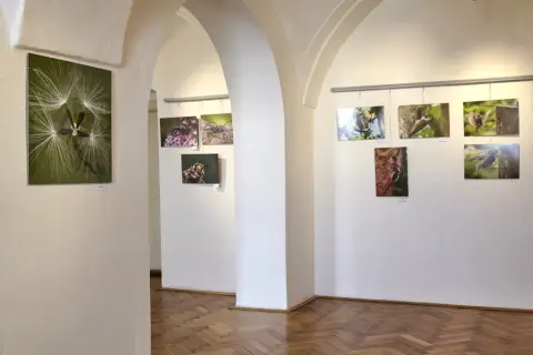 Příroda za humny (4)