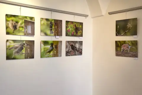 Příroda za humny (5)