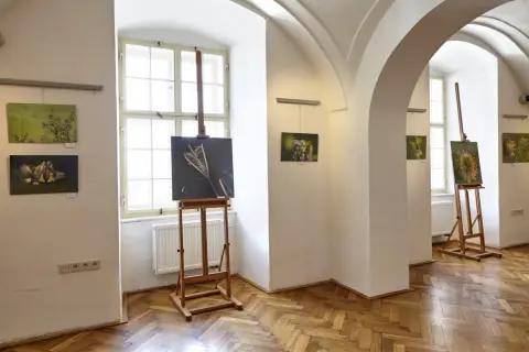 Příroda za humny (7)