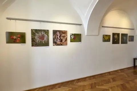 Příroda za humny (8)