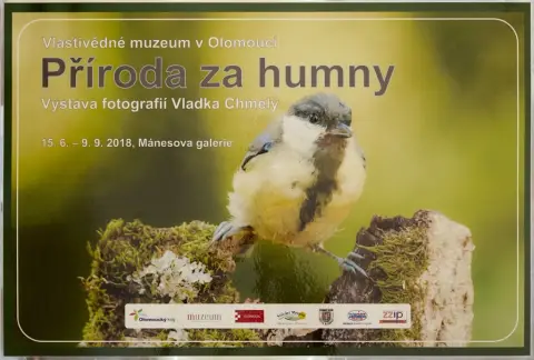 Příroda za humny (1)