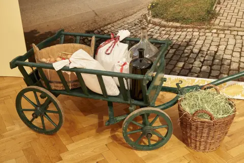 Jízda králů na Hané (8)