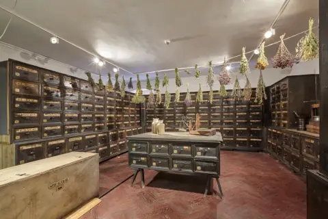 Nová stálá expozice Herbárium (2)
