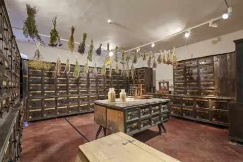 Nová stálá expozice Herbárium (5)